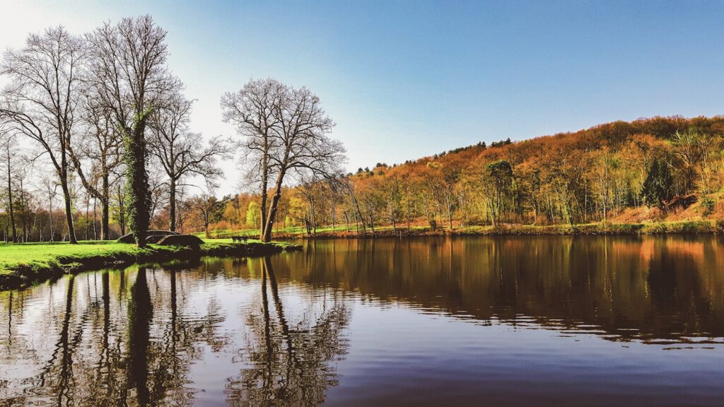 body of water near trees during daytime